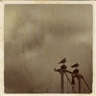 dailyPhoto28